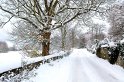 Neg_20101203_9518_107