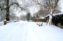 Neg_20101203_9525_109