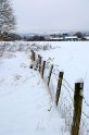 Neg_20101203_9533_115