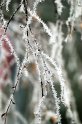 Neg_20101203_9676_159
