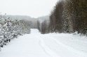 Neg_20101203_9735_183