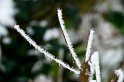 Neg_20101203_9776_199