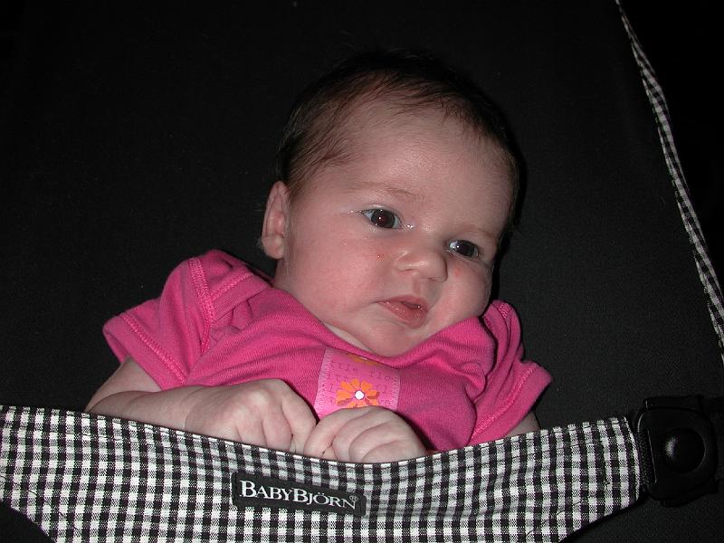 DSCN6646.JPG