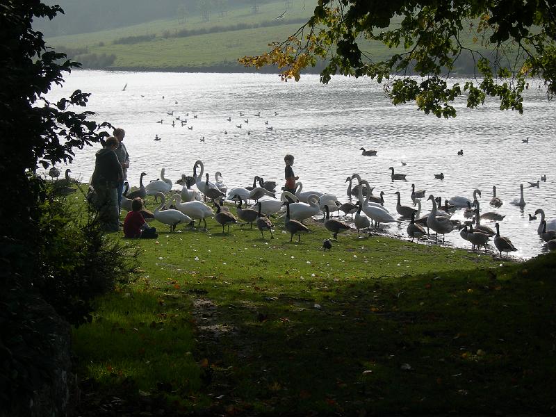 DSCN1812.JPG - Leeds Castle wildlife