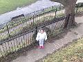 14022009110